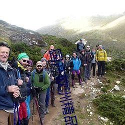 国产欧洲精品亚洲午夜拍精品